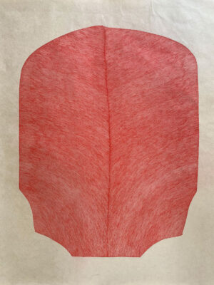 <b>Maitreyi Desai</b><br>Green Aura-II<br>Drawing (Archival Pigment Ink on Acid Free Paper<br>20.5 x 16.5 Inches<br>2023