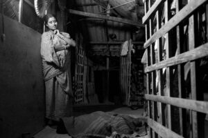 <b>Sanjay Das</b><br>Charulata<br>Archival Print on Paper <br>48 x 32 Inches<br>2021