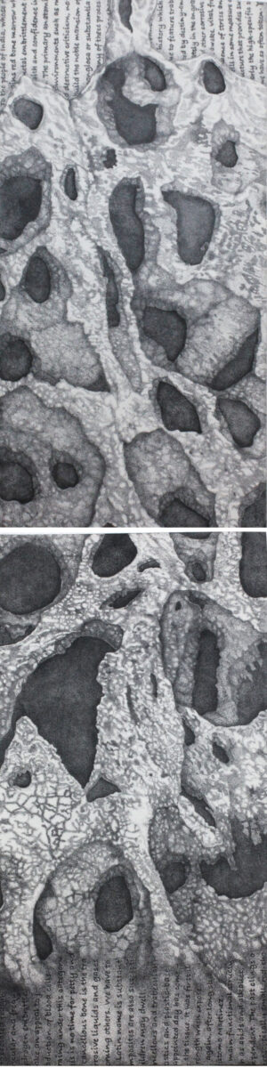<b>Parvathi Nayar</b><br>To Know the Depth or Heights <br>Hand-Drawn Graphite on Wooden Boards<br>Diptych<br>18 x 36 x 1 Inches (each panel size)<br>Unknown