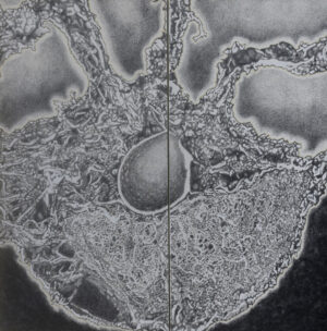 <b>Parvathi Nayar</b><br>Once, and Future <br>Hand-Drawn Graphite on Wooden Boards<br>Diptych<br>18 x 36 x 1 Inches (each panel size)<br>Unknown