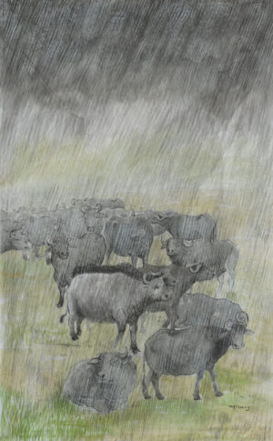 <b>Subhendu Sarkar</b><br>Beastly Tales<br> Water Colour and Pencil on Paper<br>29 x 19 <br>Unknown