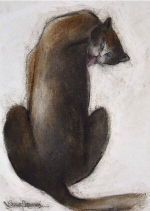 <b>Shuvaprasanna Bhattacharya </b><br> Untitled <br> Acrylic and Charcoal on Paper <br> 16.5 x 11.6 Inches <br>Unknown