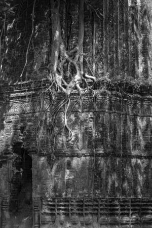 <b>Sanjay Das</b><br> Anant -I <br> Archrival Print on Paper<br> 30  x 45 Inches<br>Unknown