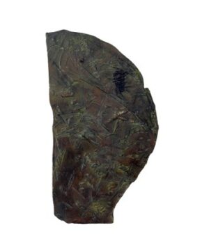 <b>Chandana Hore</b><br>Portrait I<br>Bronze<br>9.5 x 5 Inches<br>2022