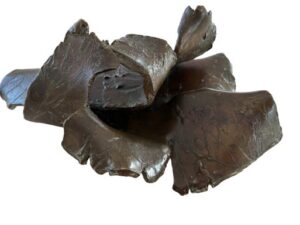 <b>Chandana Hore</b><br>Dark Mangolia<br>Bronze<br>9.5 x 5.5 x 4 Inches<br>2009
