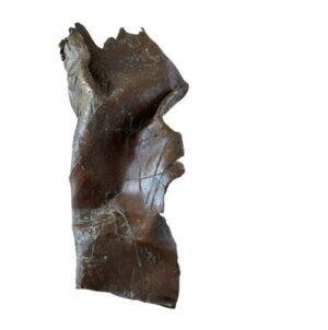 <b>Chandana Hore</b><br>Passion Flower<br>Bronze<br>16 x 7 x 3 Inches<br>2021