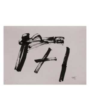 <b>Himmat Shah</b><br>Untitled<br>Pen and Ink on Paper<br> 11.4 x 8 Inches<br>Unknown